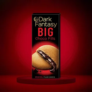 Sunfeast Dark Fantasy BIG Choco Fills 15(Jg