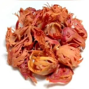 Sujatha Japatre (Mace Spice)